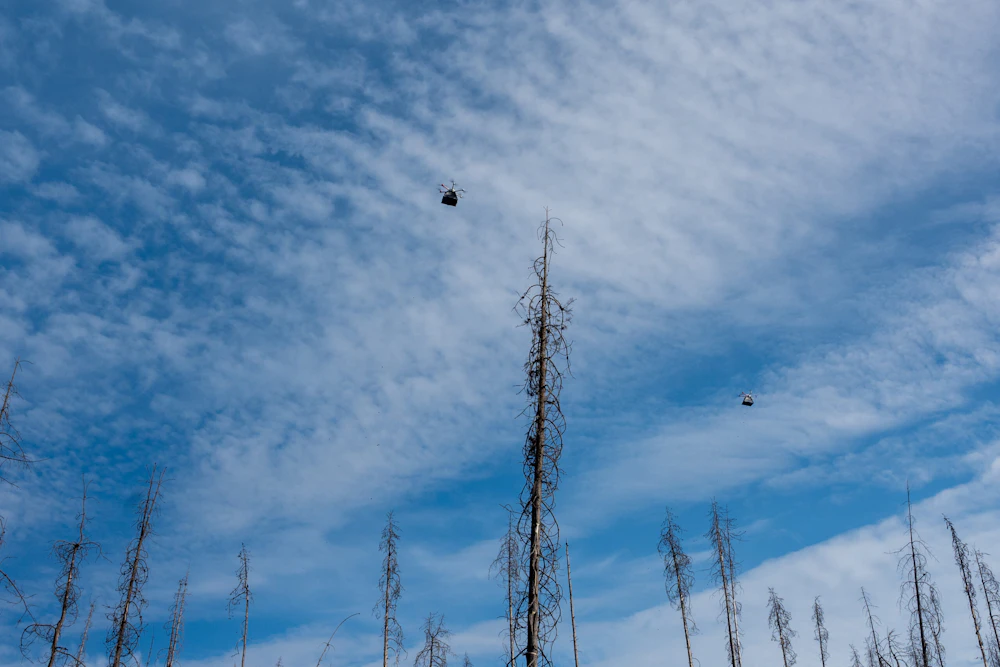 Umpqua USFS Rodeo 83