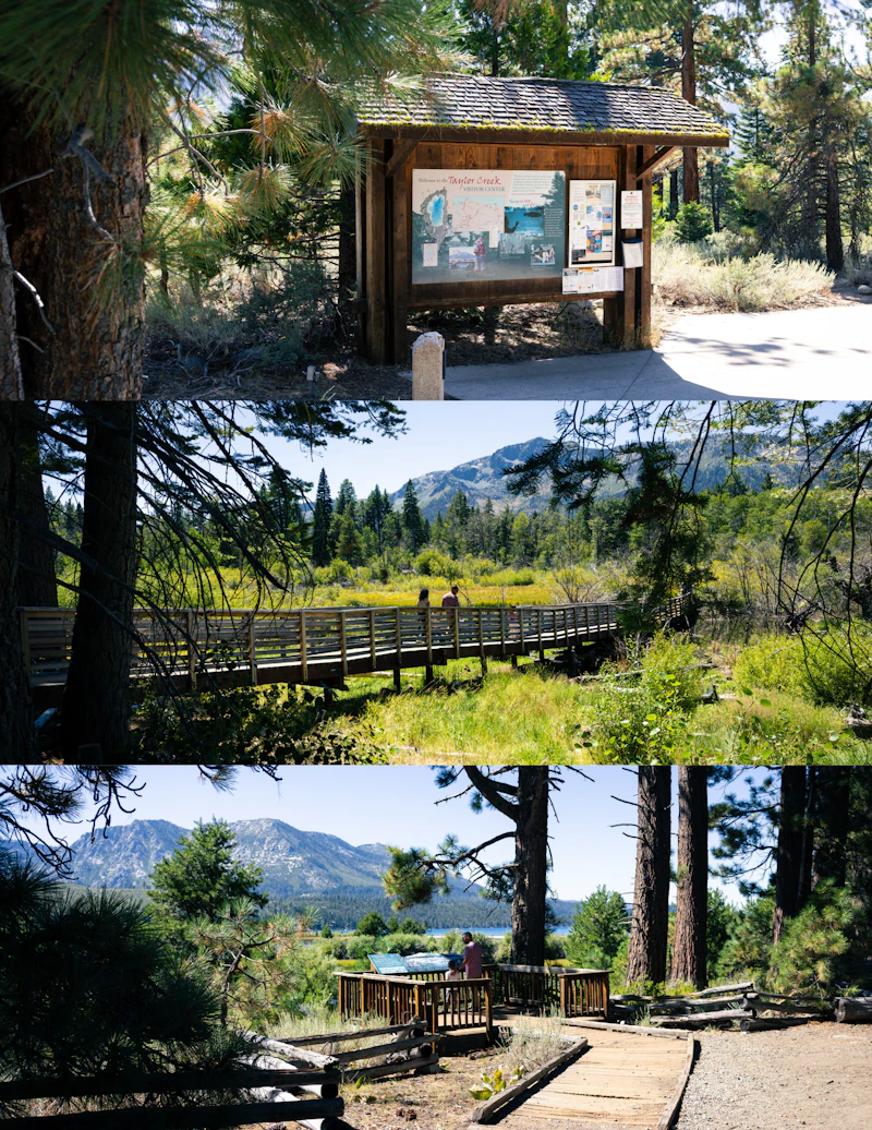 Visitors explore the trails, boardwalks, and interpretive stops of Taylor Creek Visitor Center, surrounded by wetlands, forest, and sweeping views of the Lake Tahoe Basin.
