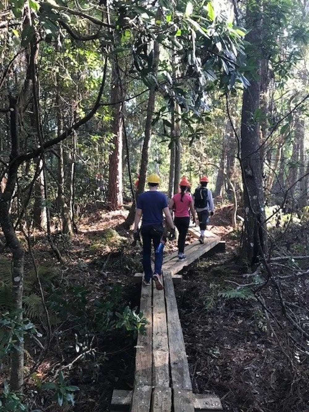 Uof Fl Volunteers1