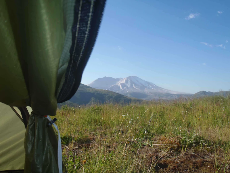 View-from-the-tent