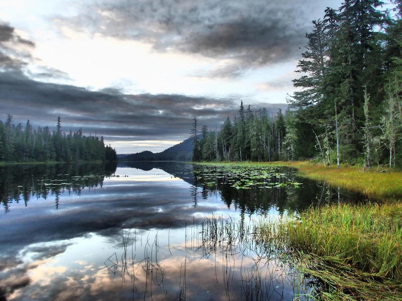 View-of-Kah-Sheets-Lake