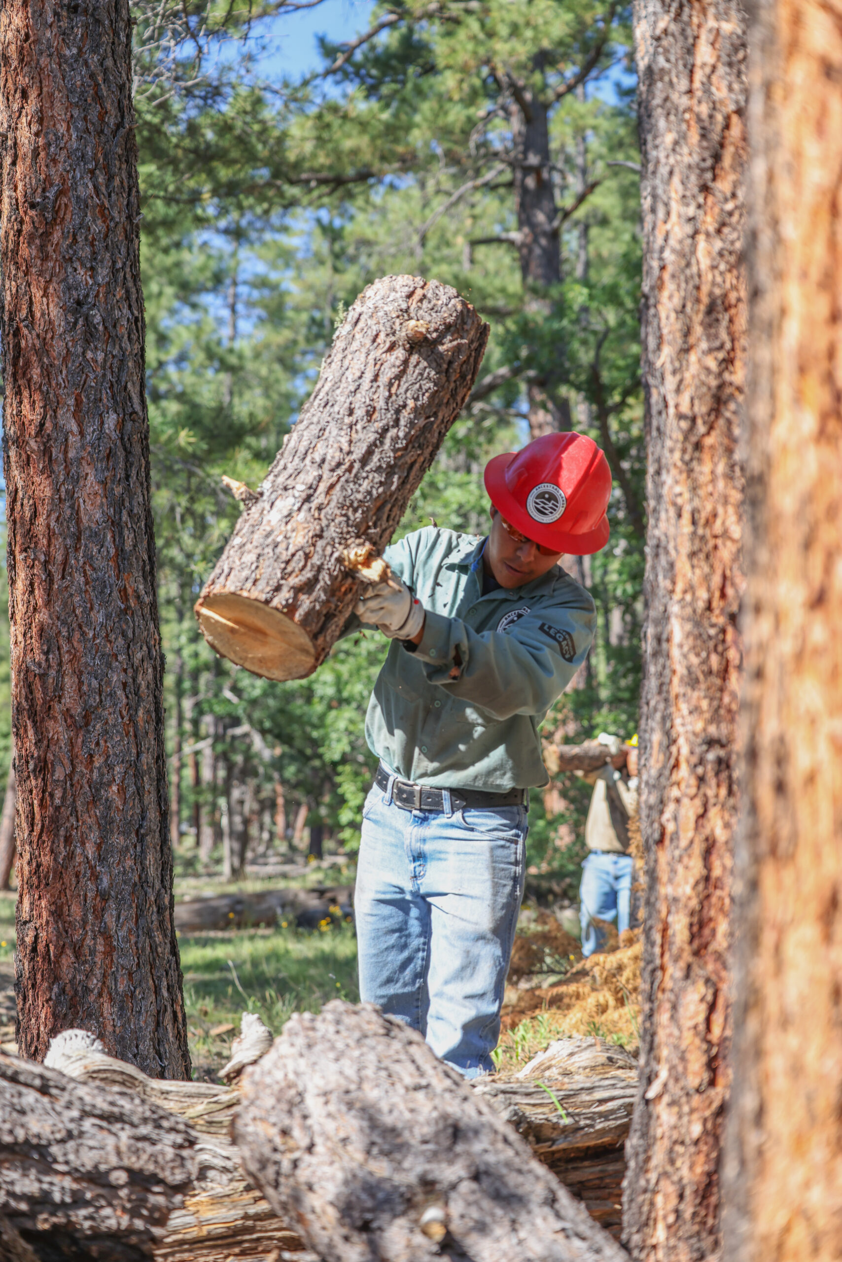 Crew member tosses a cut log into a pile.