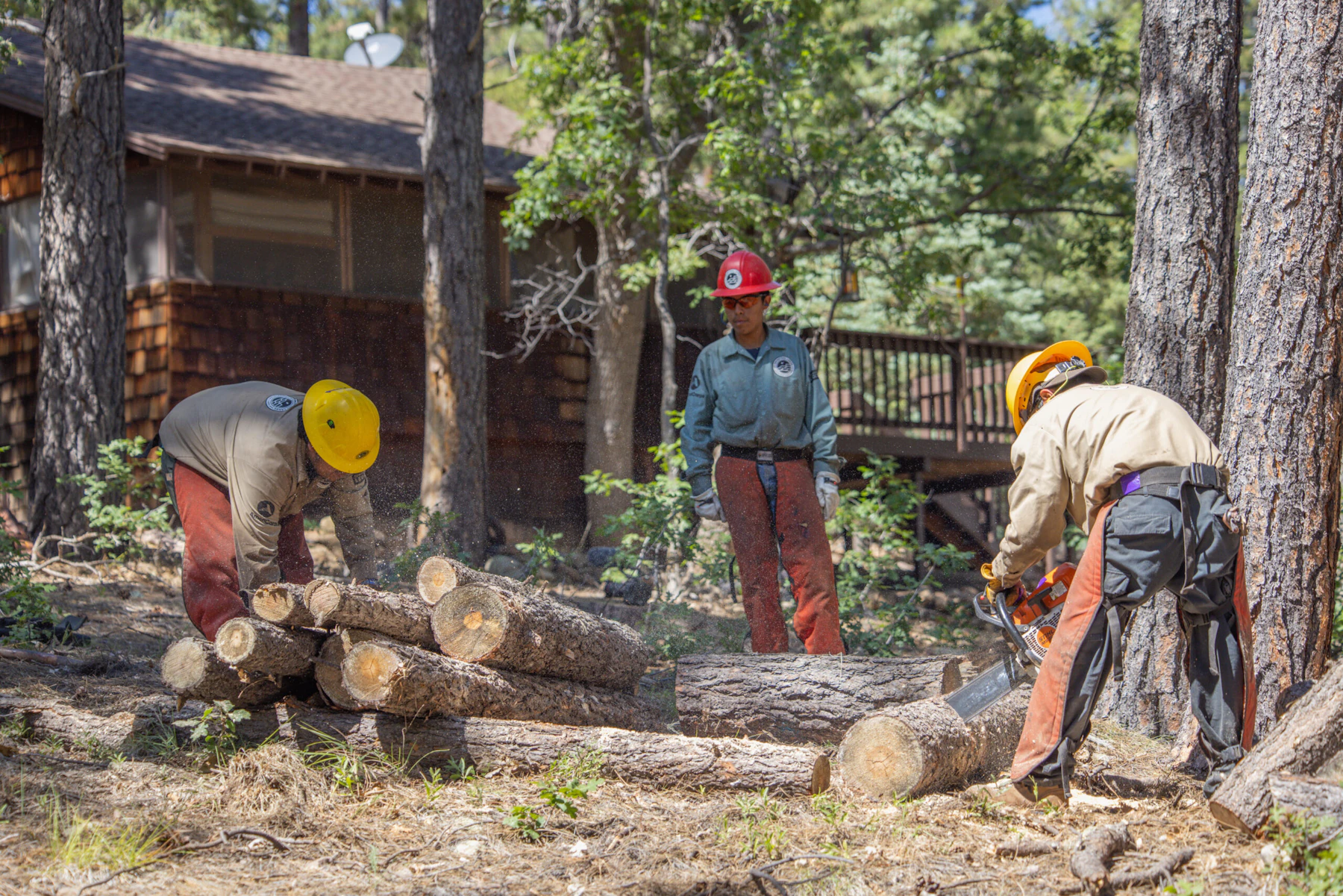 Crew sawing logs at a project site.