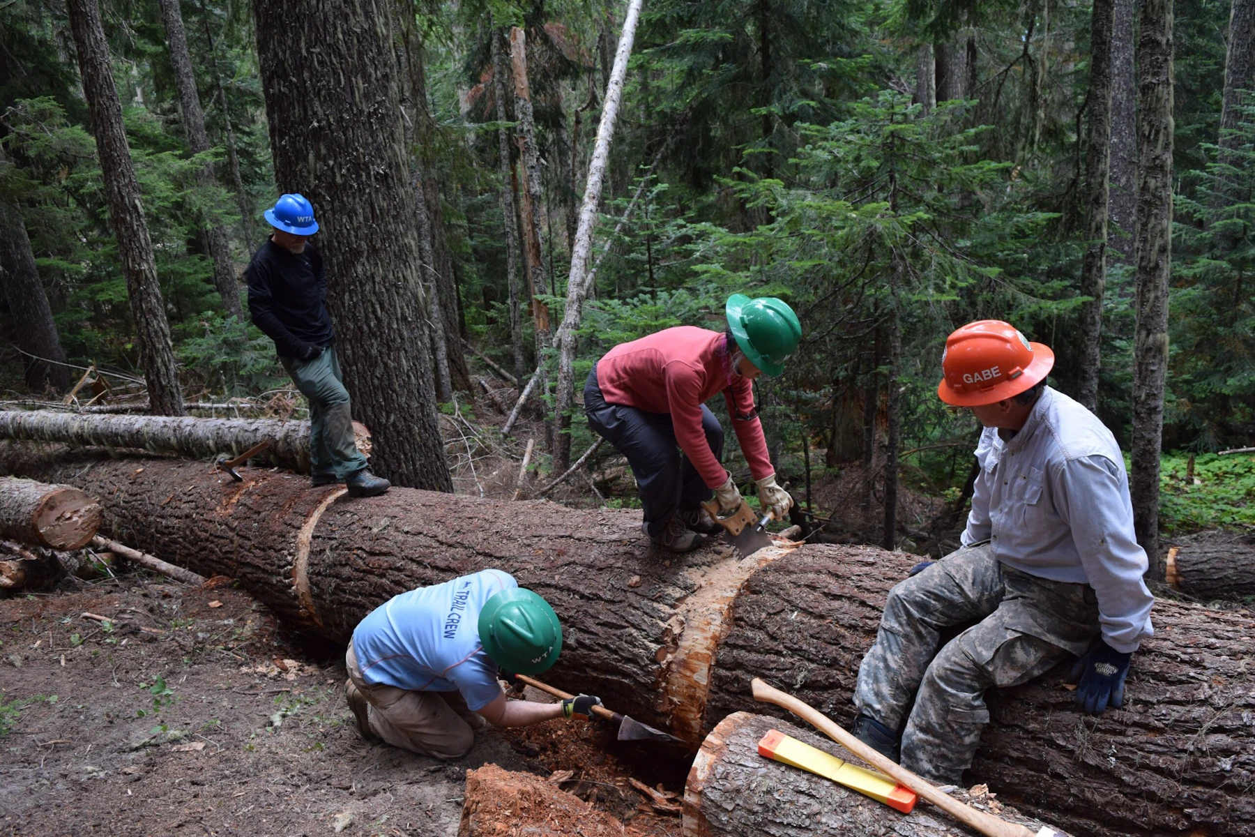 Wta Trailwork 3
