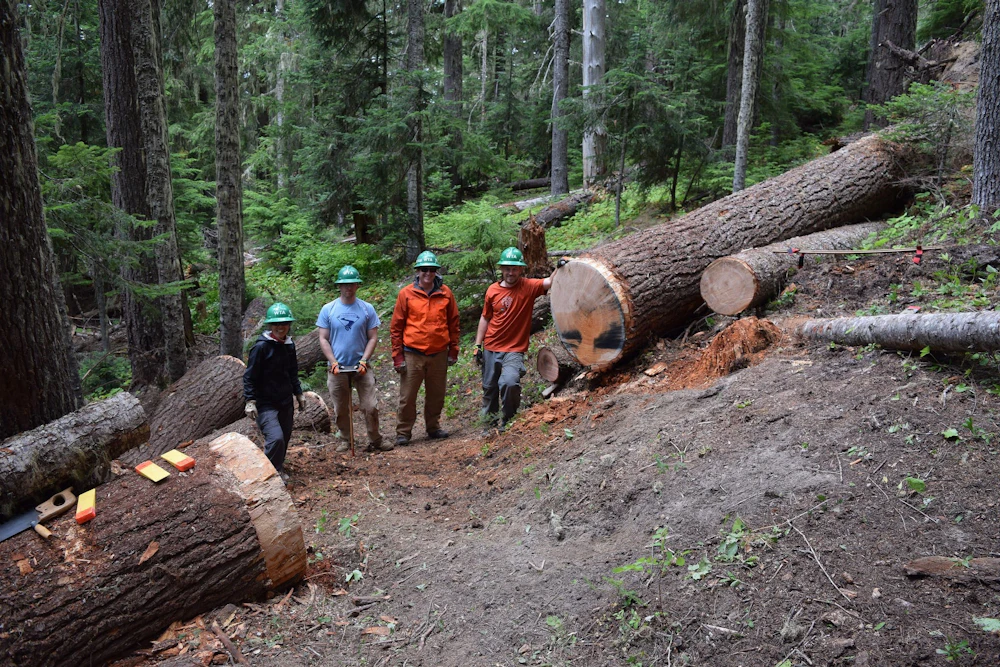 Wta Trailwork2