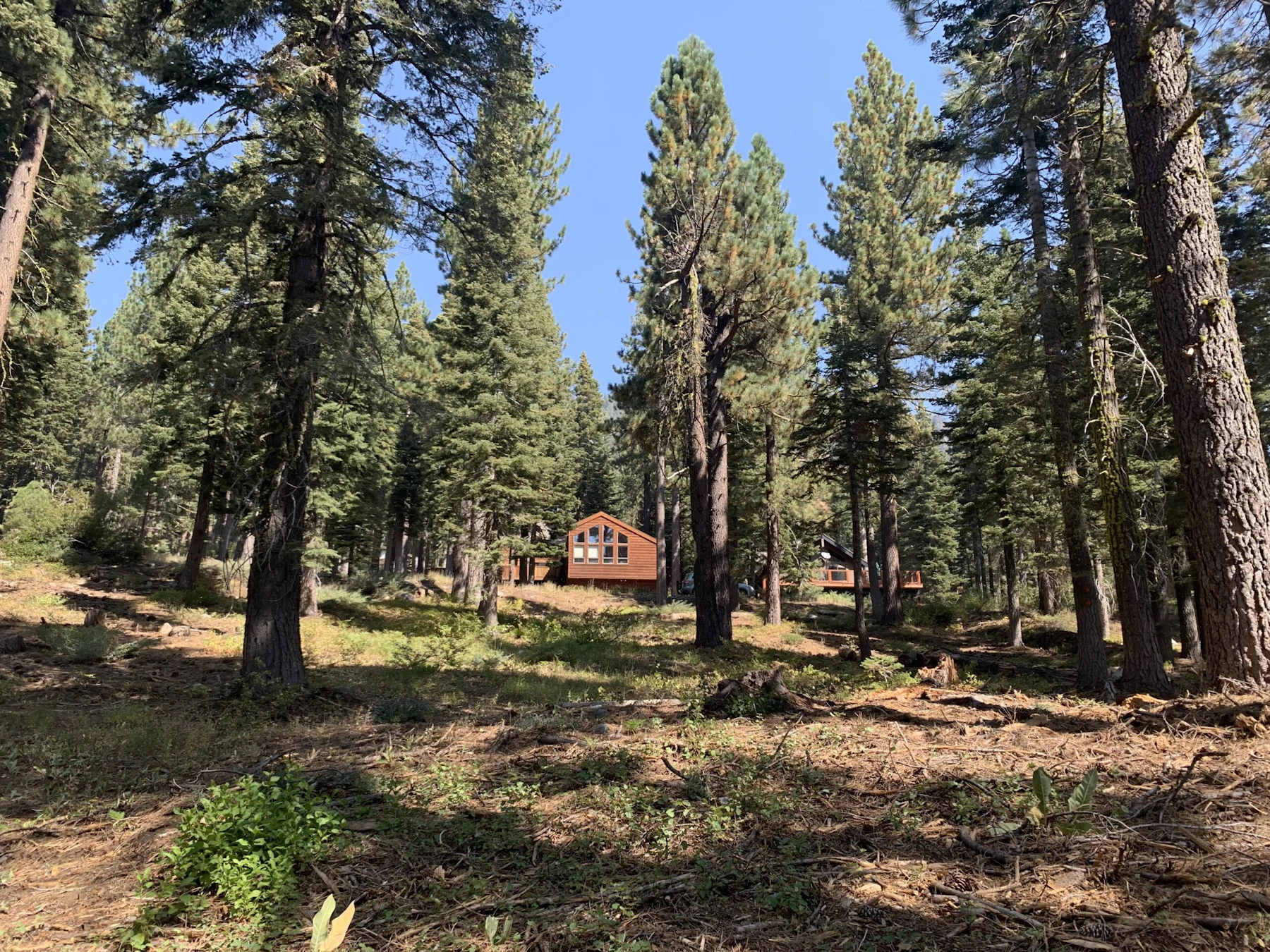 Ward Creek Project by National Forest Foundation