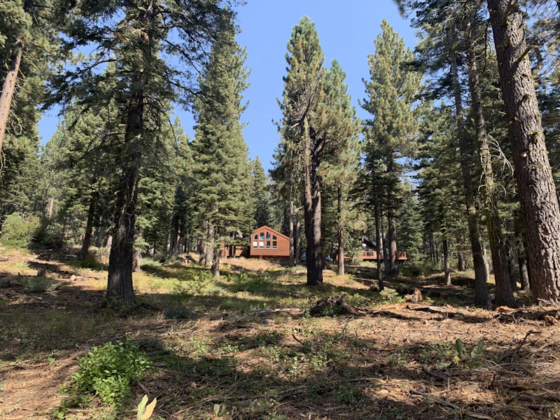 Ward Creek Project by National Forest Foundation