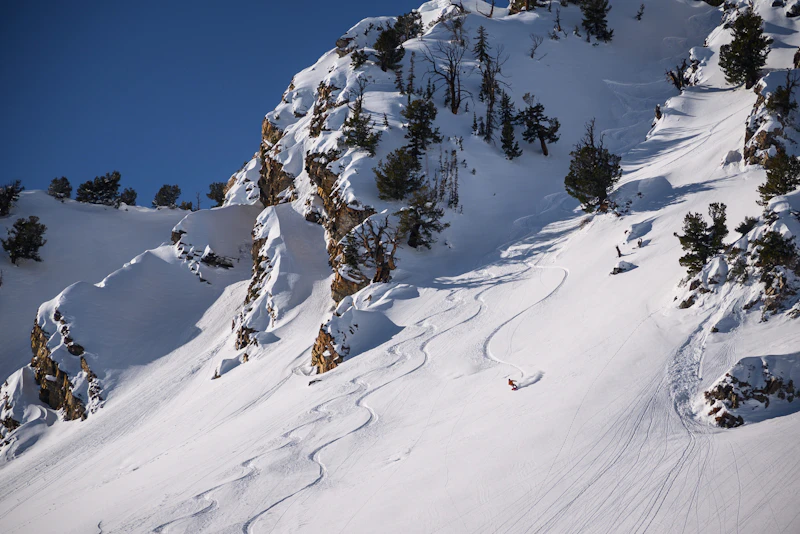 Back country skier.