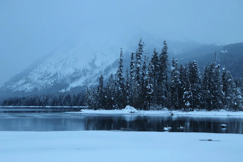 Snow covered shores of an alpine lake in the mist.