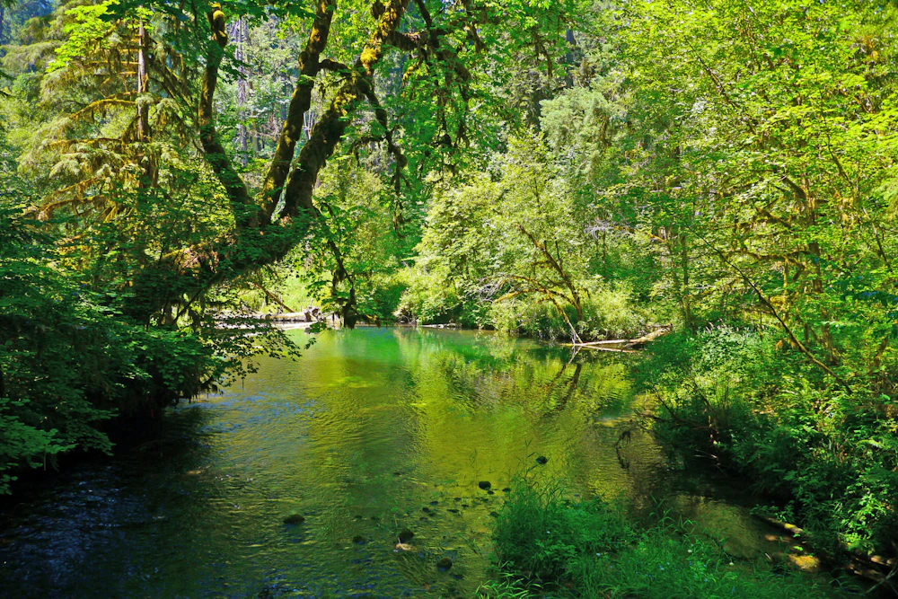 West-Cascades-Scenic-Trail Delta-Campground-Trail Rick-Obst