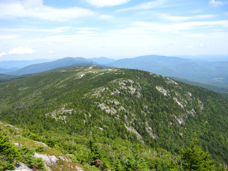 White-Mountain-NF Eagle-Crag cm195902-flickr-creative-commons
