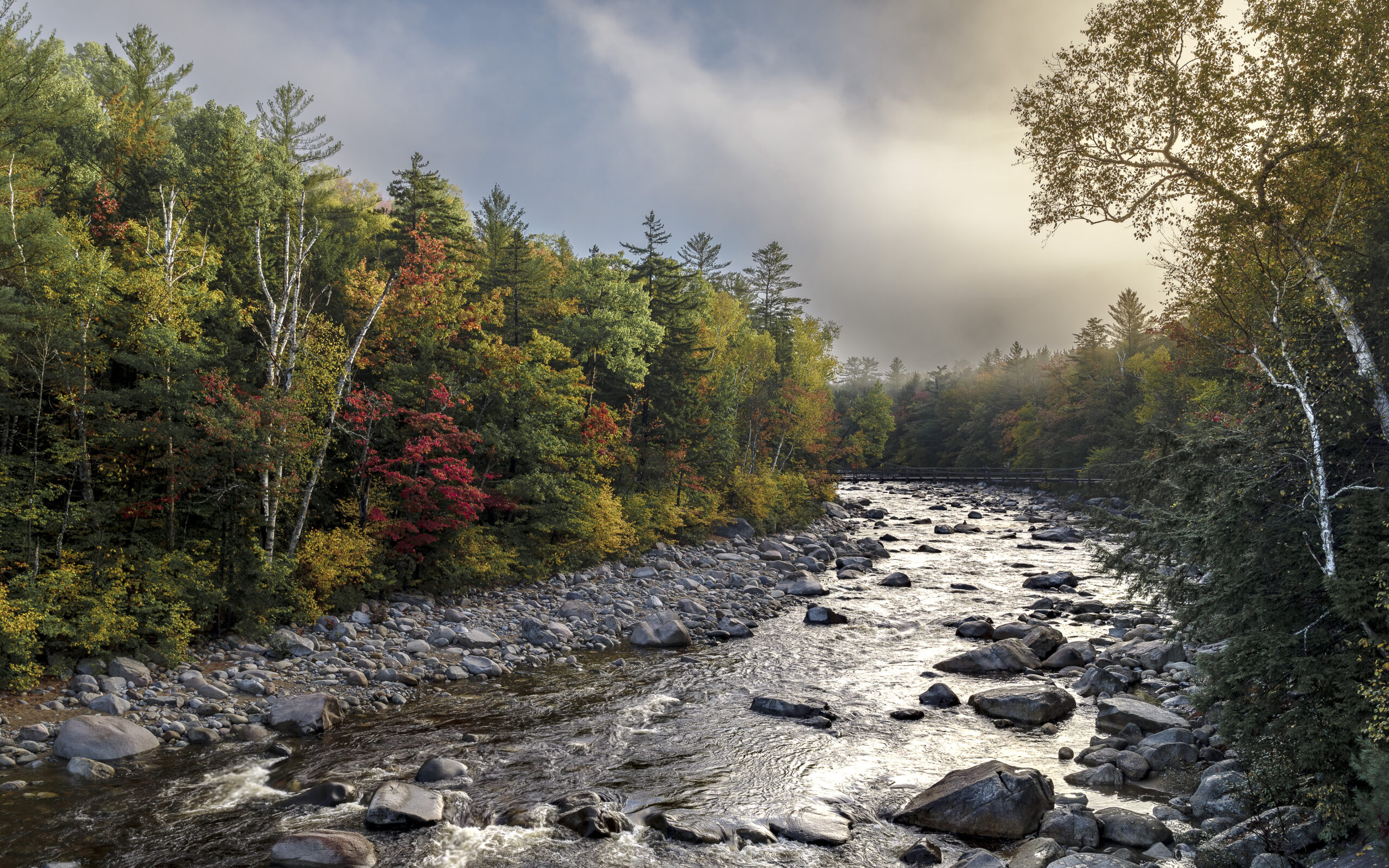 wide creek flowing through a forest during fall.