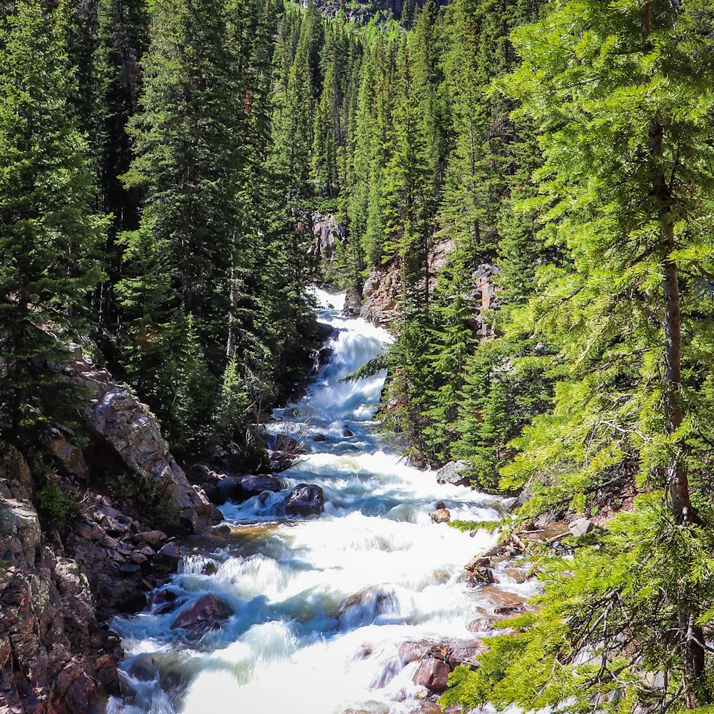 White River Nf Eagles Nest Wilderness Patrick Williams