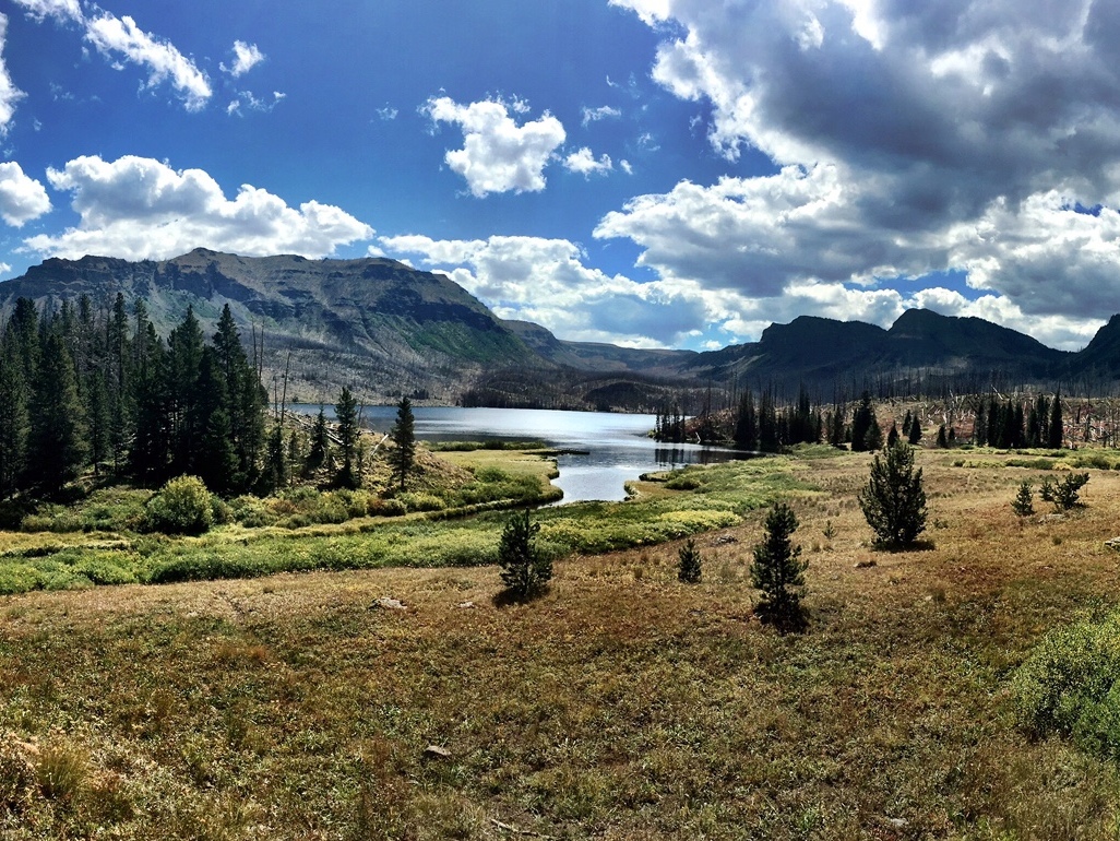 large meadow in front of a lake and mountains