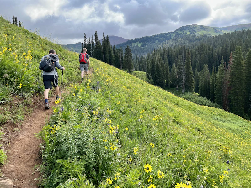 two hikers along a narrow dirt trail above a meadow of wildflowers