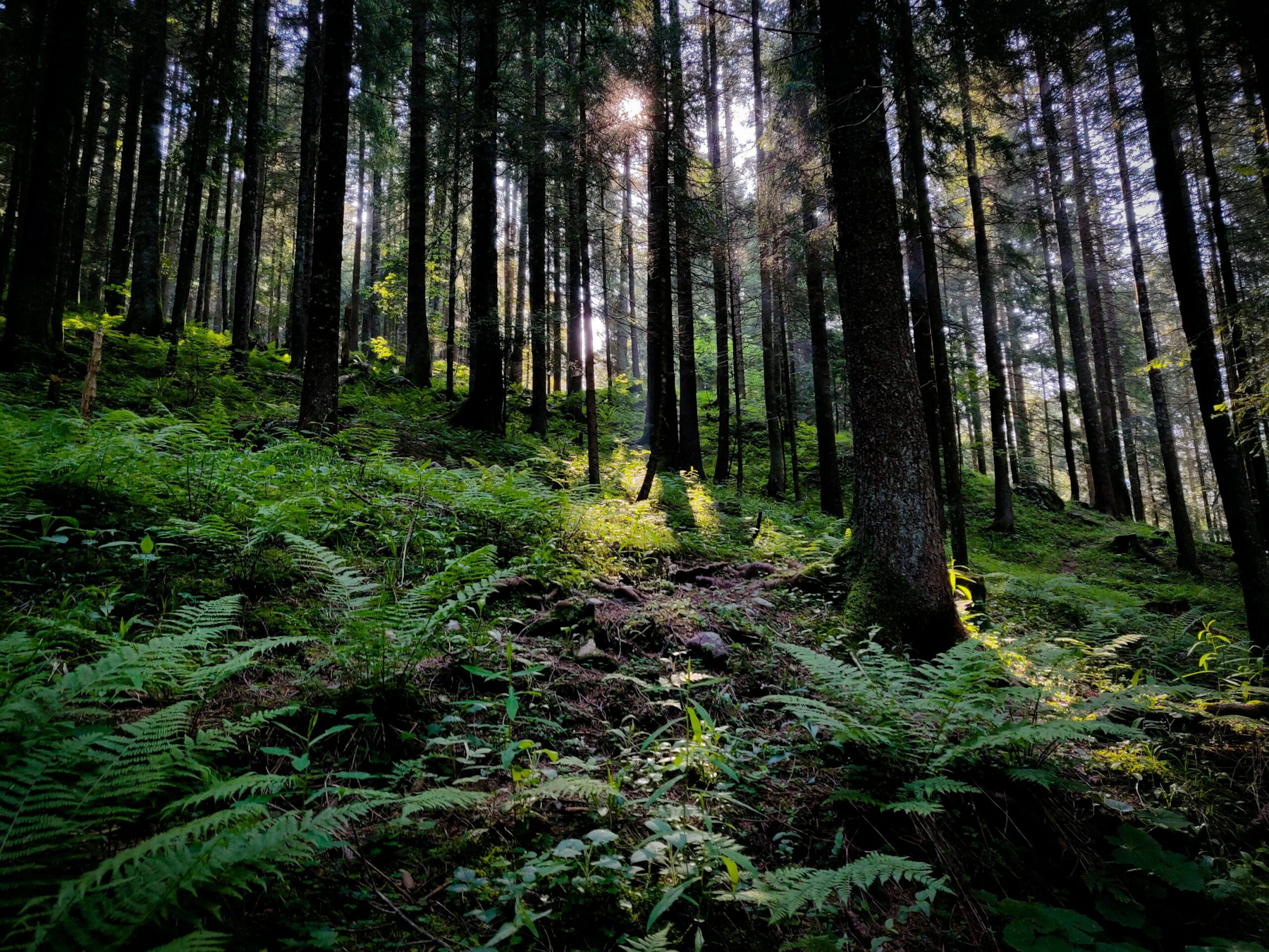 Alberto bigoni a Tx5 Z Ho Lu Xs unsplash