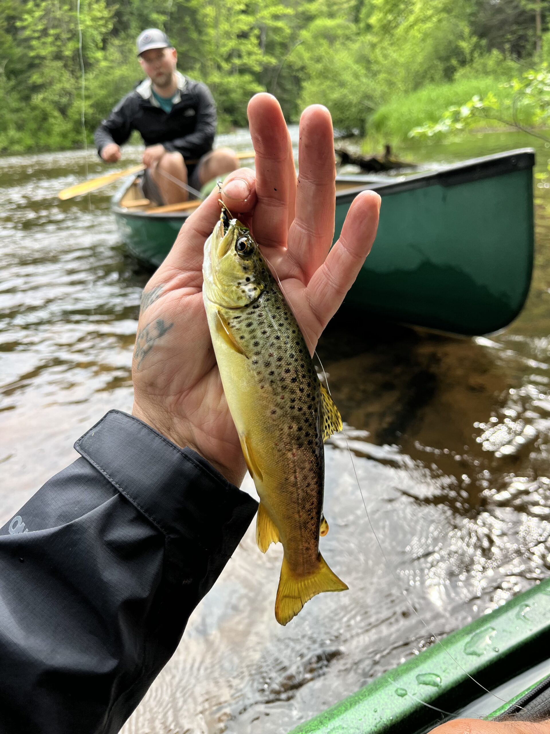 Trout fishing down the Bois Brule River.