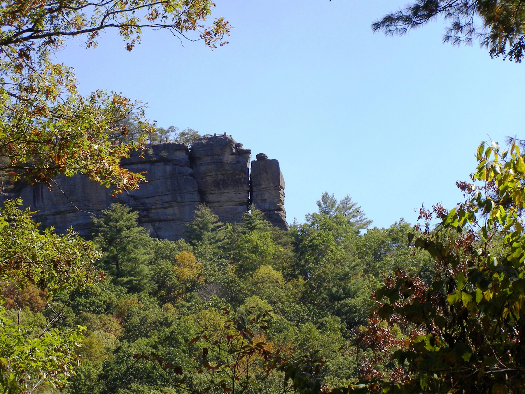 Chimney Rock Trees Frame