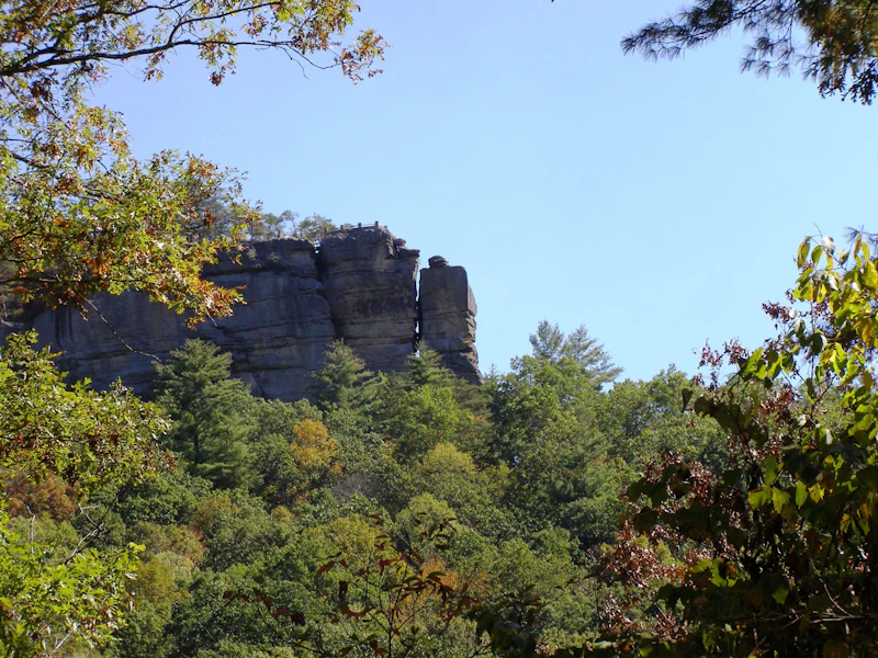Chimney Rock Trees Frame