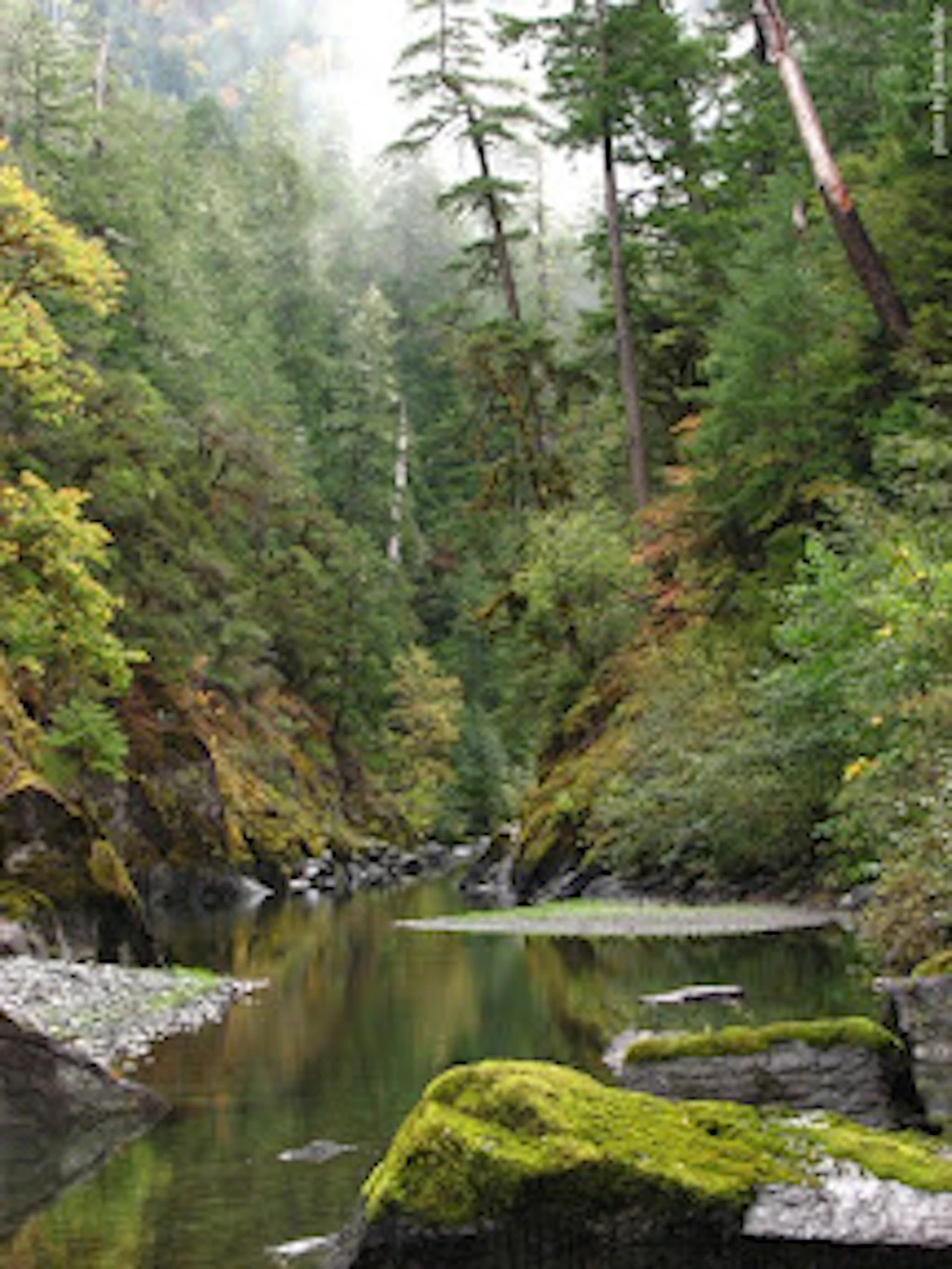copper-salmon-wilderness