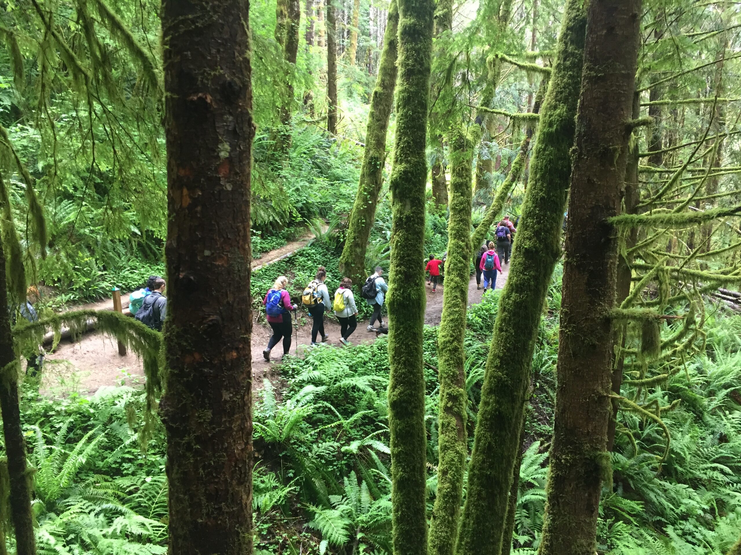 Unlikely Hikers' Explores Siuslaw National Forest - National