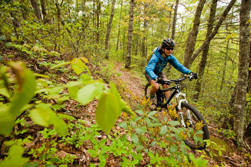 person biking down a trail in the forest