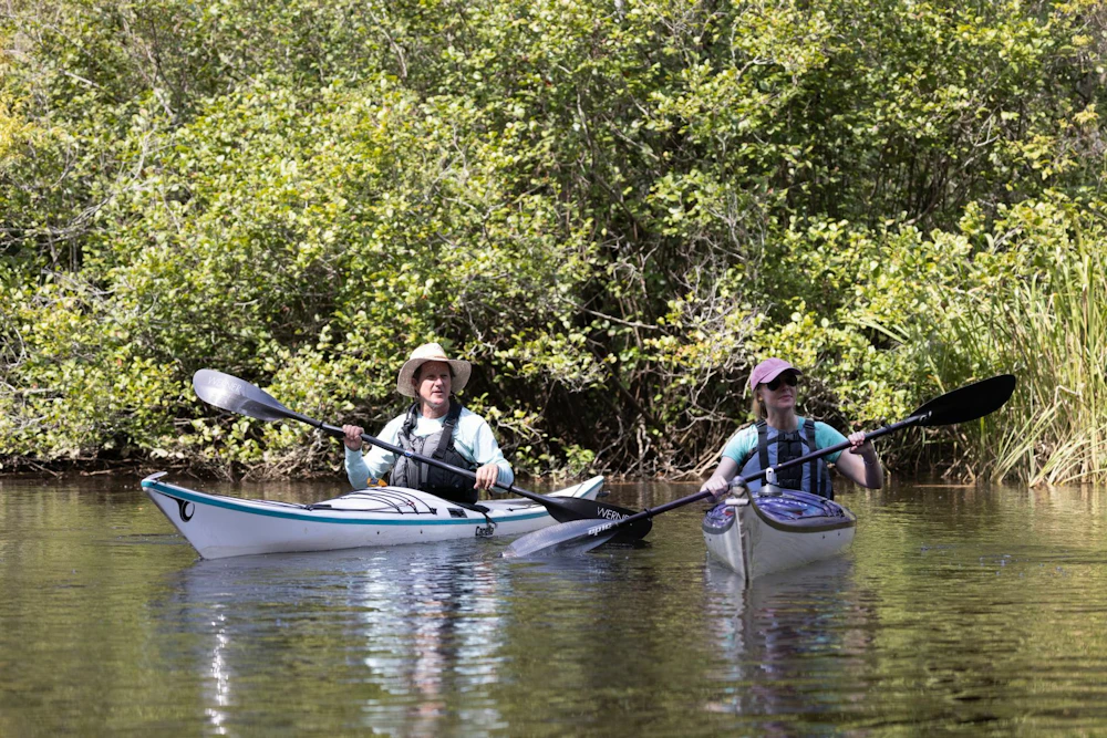 Kayaking francis marion national forest sc