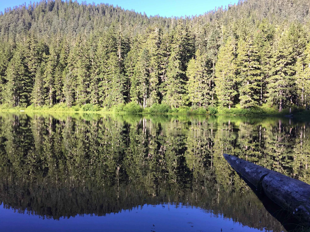 Lake Reflection