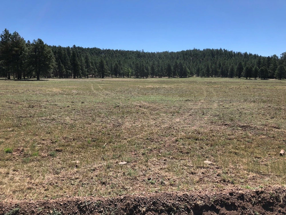 Meadow az 1