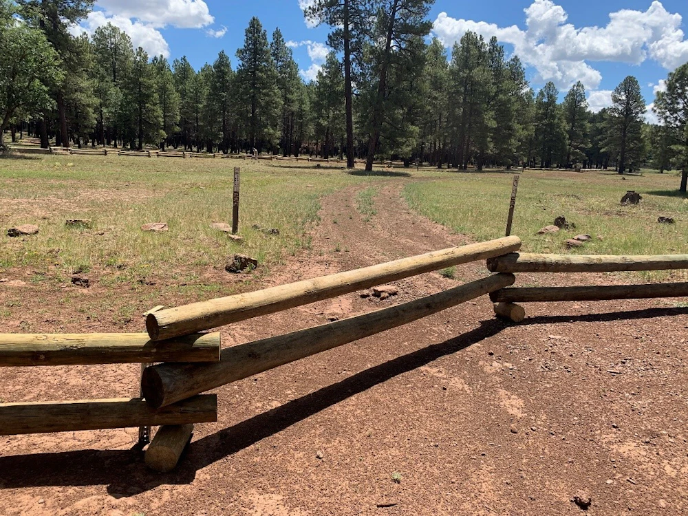 Meadow az 2