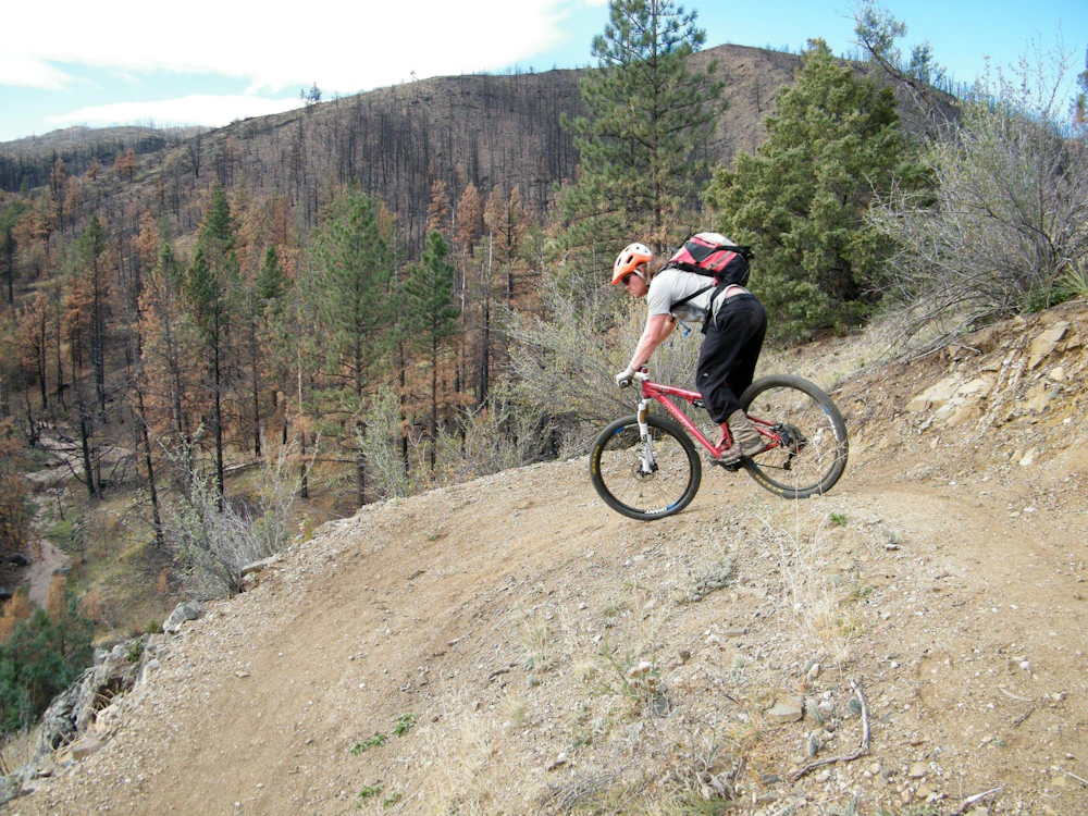mtn-biker-descends-new-hewlett-hill-trail 2012-2 ARP