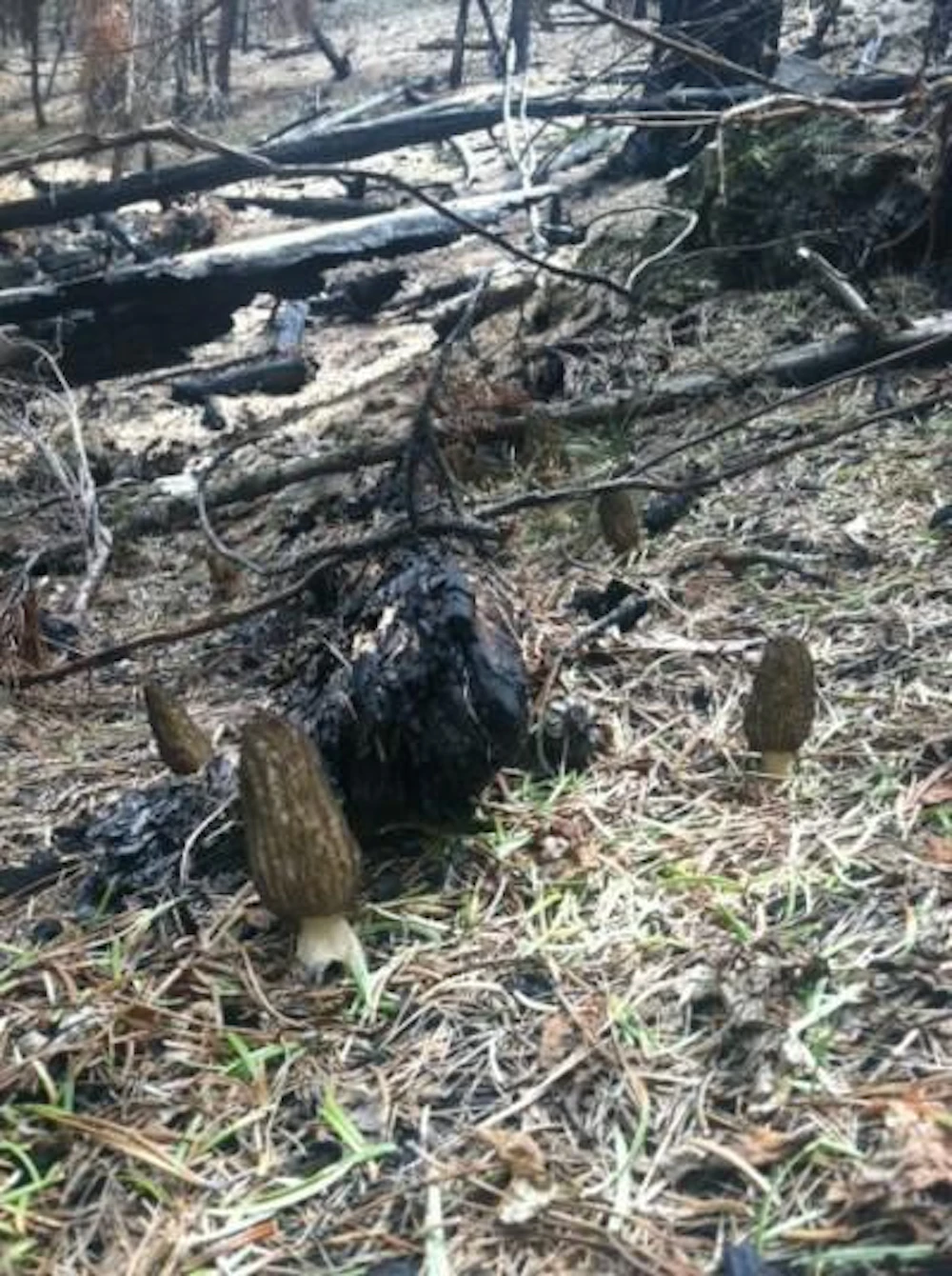 photo2