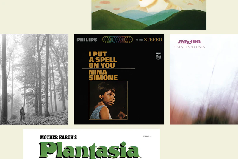 Playlist