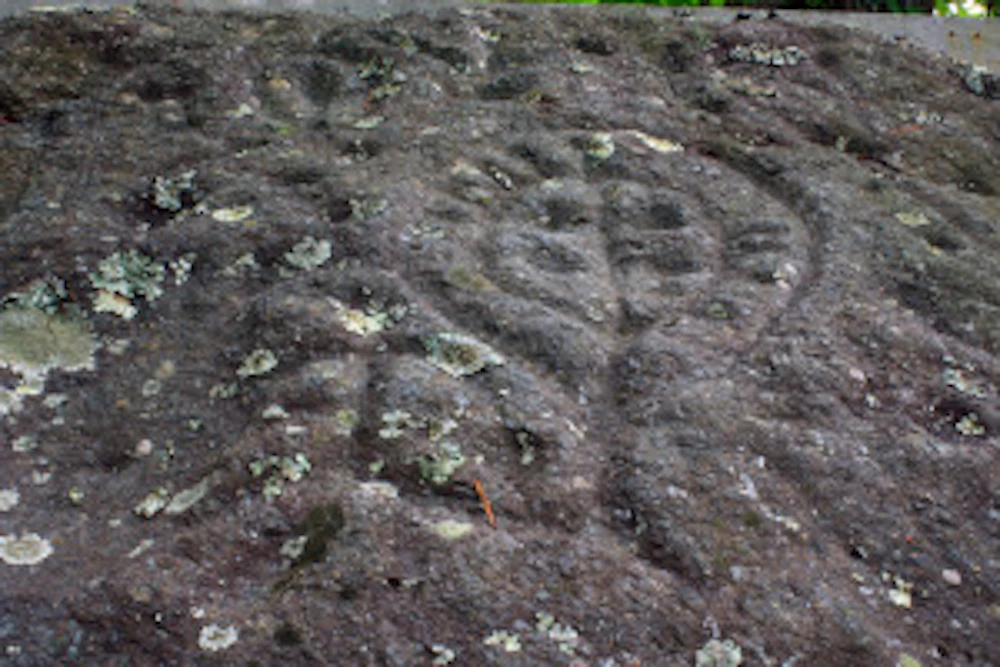 ptroglyphns