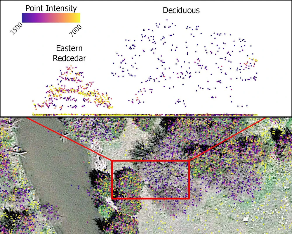 Redcedar lidar graphic