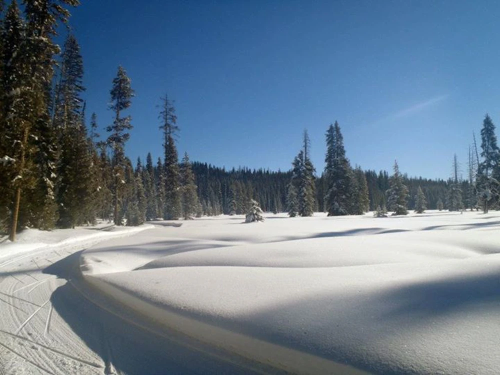 xc-ski-6