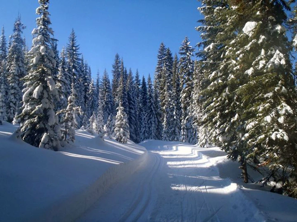 xc-ski-7