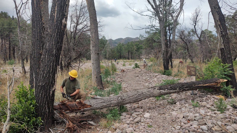 a person uses a cross cut saw on a log across a trail
