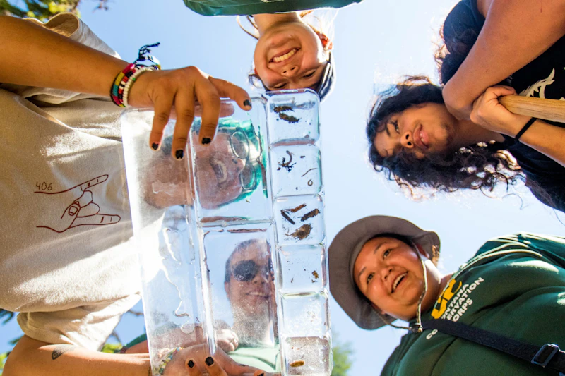 View beneath young adults examining specimens outside