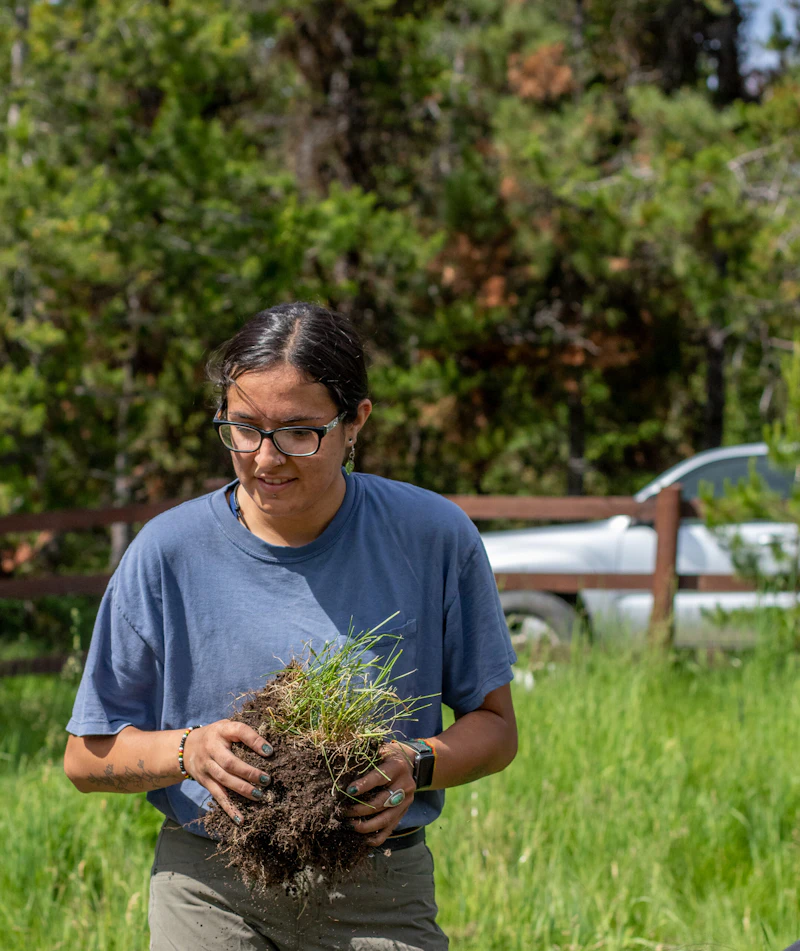 a young adult removes weeds from the forest