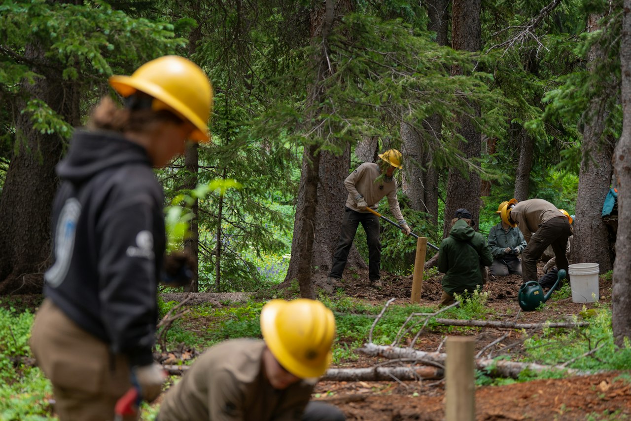 Matching Awards Program Grants — National Forest Foundation