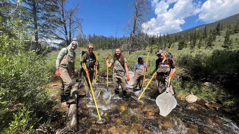 group of adults standing in a creek to do science restoration