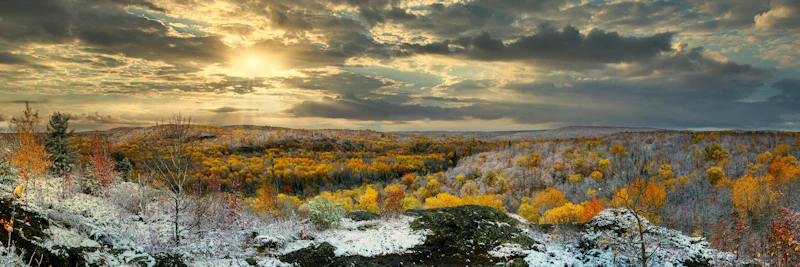 Snow covers an autumn forest.