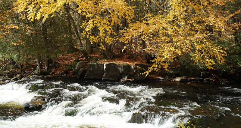 White water on the Chequamegon-Nicolet National Forest.