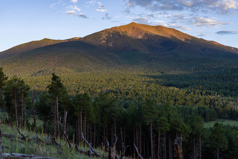 View of the San Francisco Peaks from the northwest.
