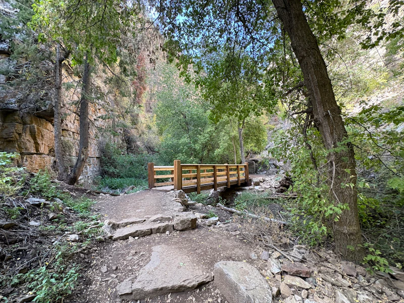 Newly constructed trail bridge.