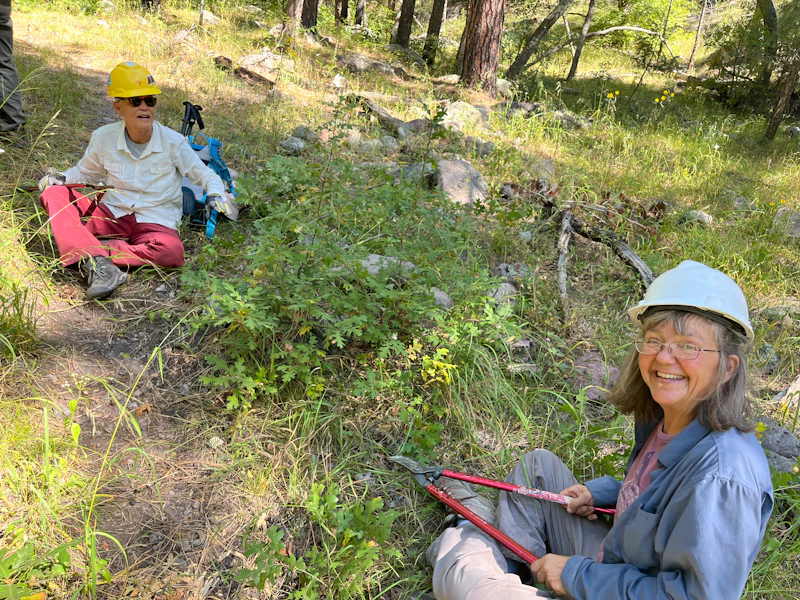 a man and woman with hard hats sit in the forest to trim overgrowth
