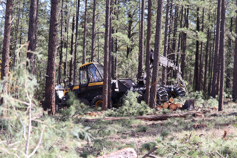 Heavy machinery removing logs from a forest thinning project.