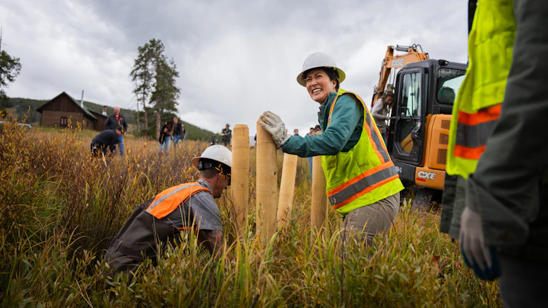 Crew installing wooden posts in a streambed to slow the flow of water and restore the surrounding floodplain.