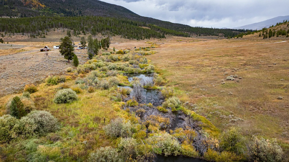 Wetland.